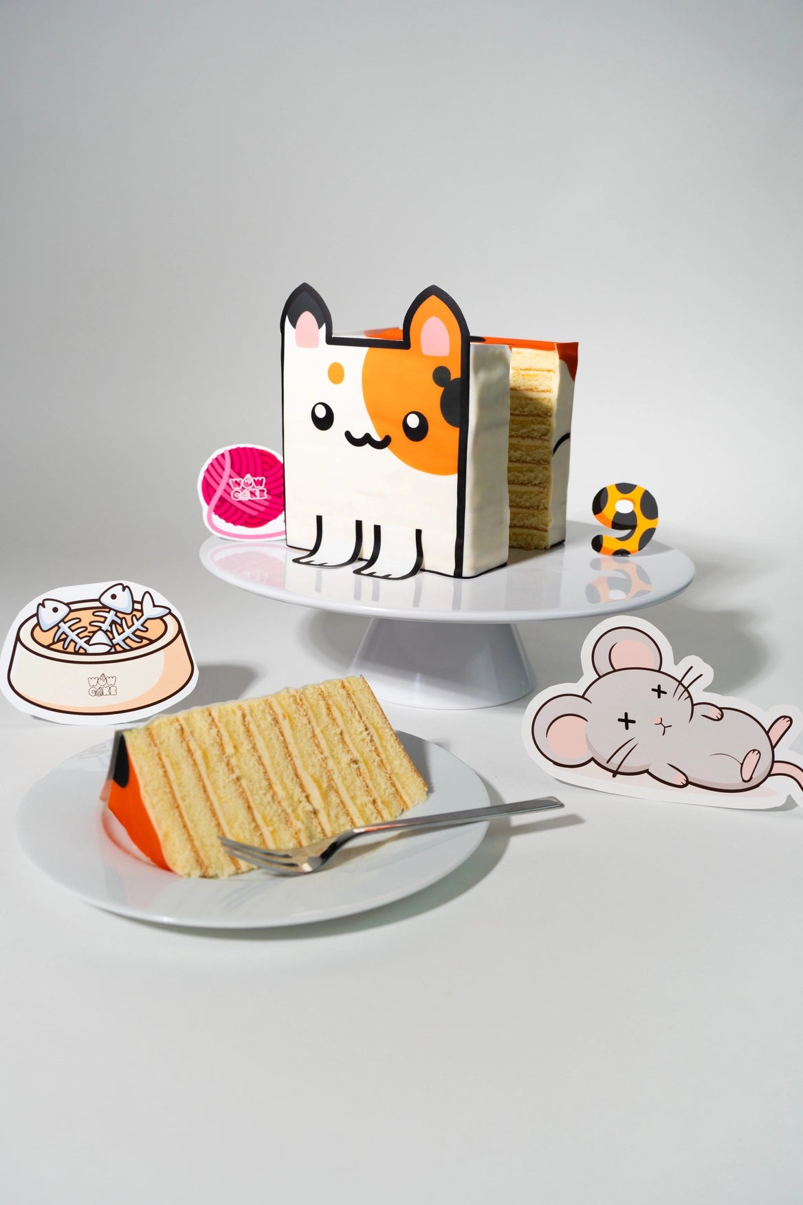 Calico Cat