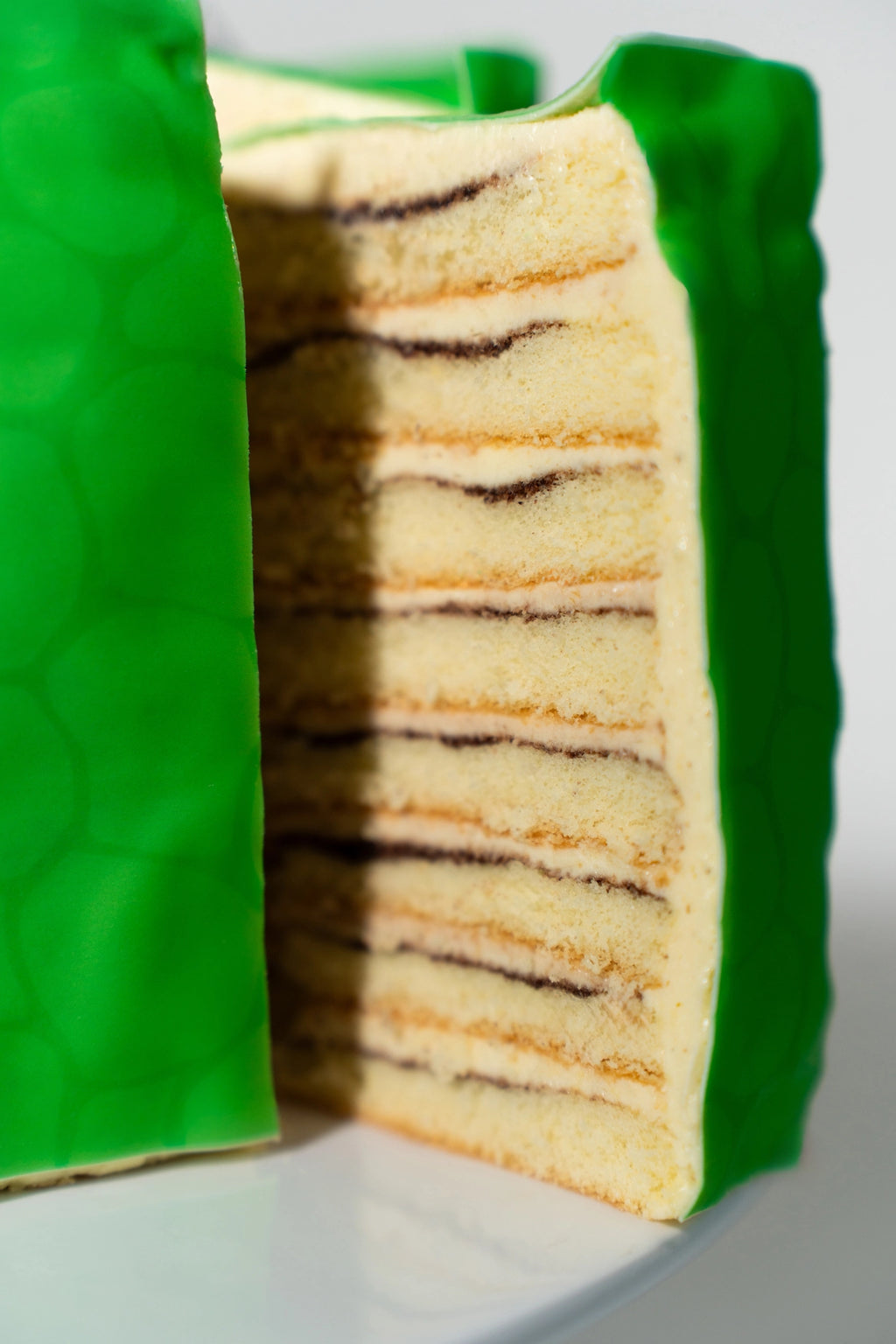 Dino Cake